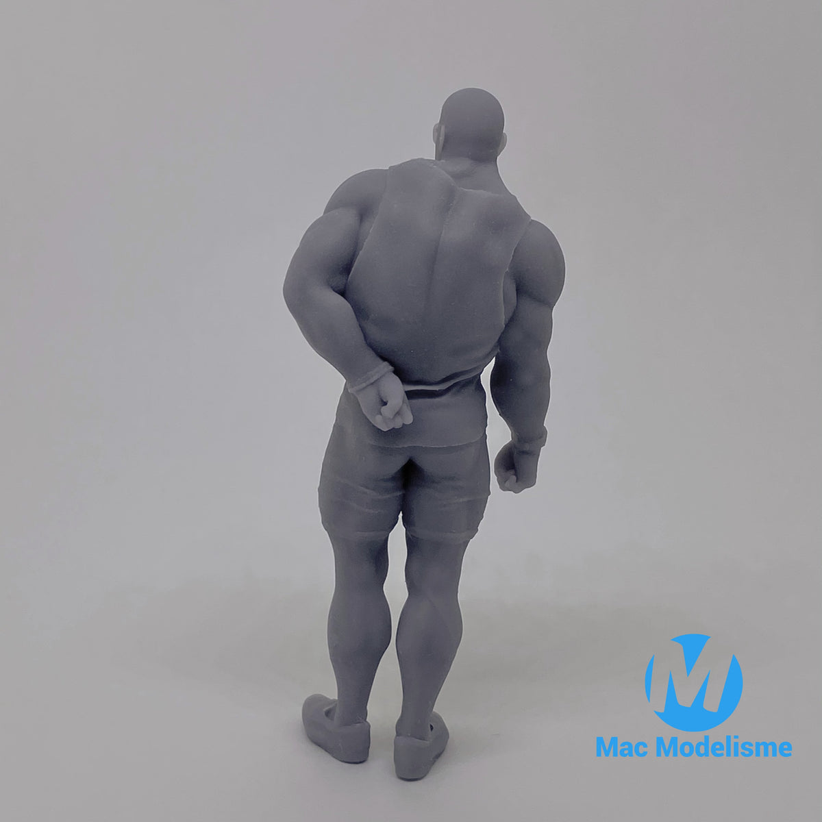 Bodybuilder No Pain No Gain - 1/24 ou 1/18 – Mac Modelisme