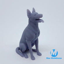 Load image into Gallery viewer, Chien Berger Belge Malinois - 1/24 Ou 1/18 Résine